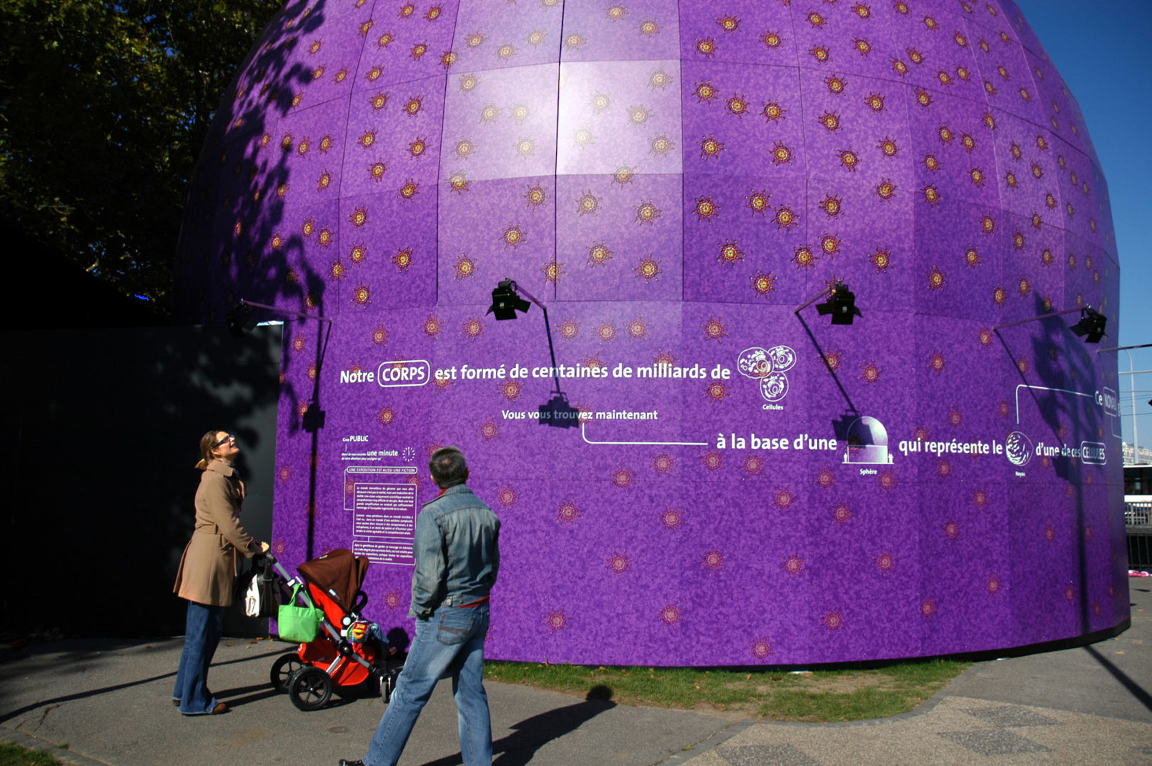 Base du dôme, explications ludiques sur le génome